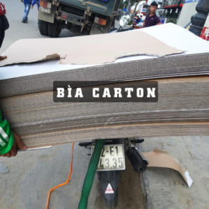 Bìa Carton